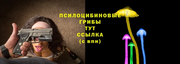 прущие крисы Абаза