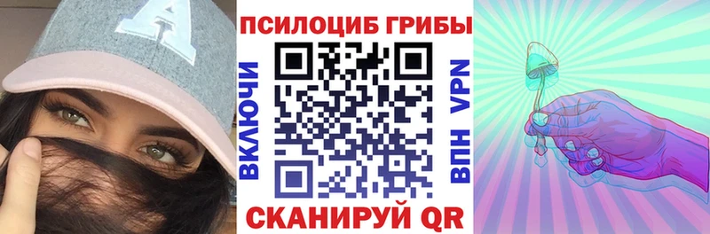 Псилоцибиновые грибы мухоморы  закладка  Шали 